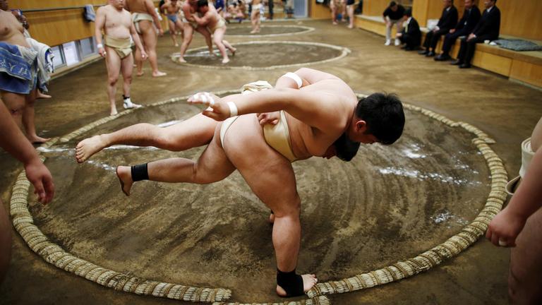 Sumo-Ringer