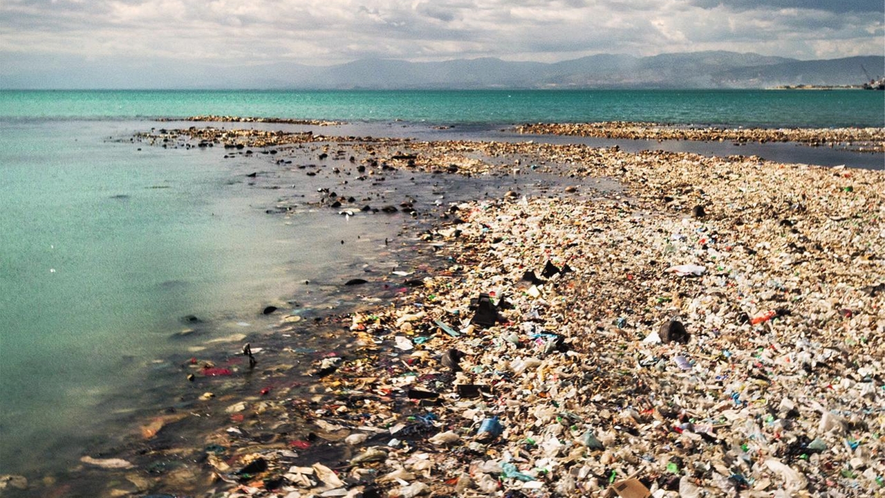 Plastikmüll zählt zu den größten Problemen der marinen Ökosysteme