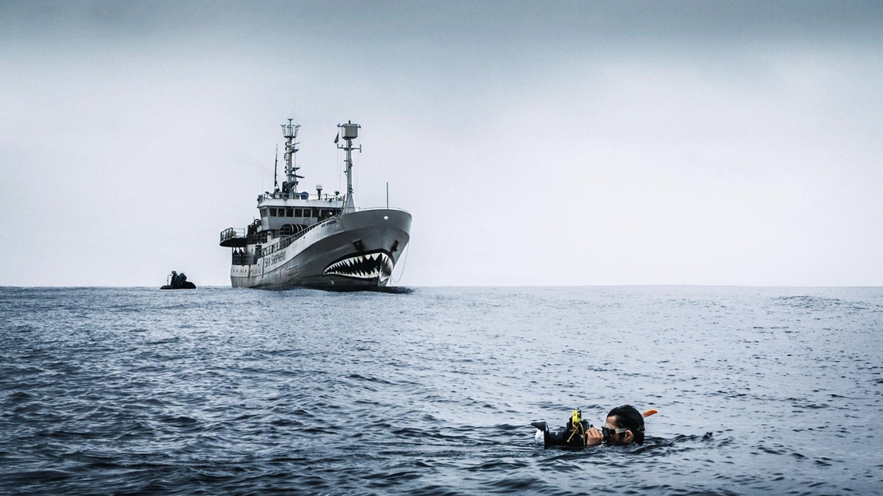 Sea Shepherd - Aktivisten, Das berühmte Schiff Bob Barker war für die Operationen Albacore 2 in Gabun stationiert