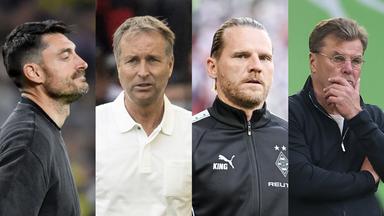 Bildkomposition: Bundesliga Trainer, Riera, Hjulmand, Polanski, Hecking