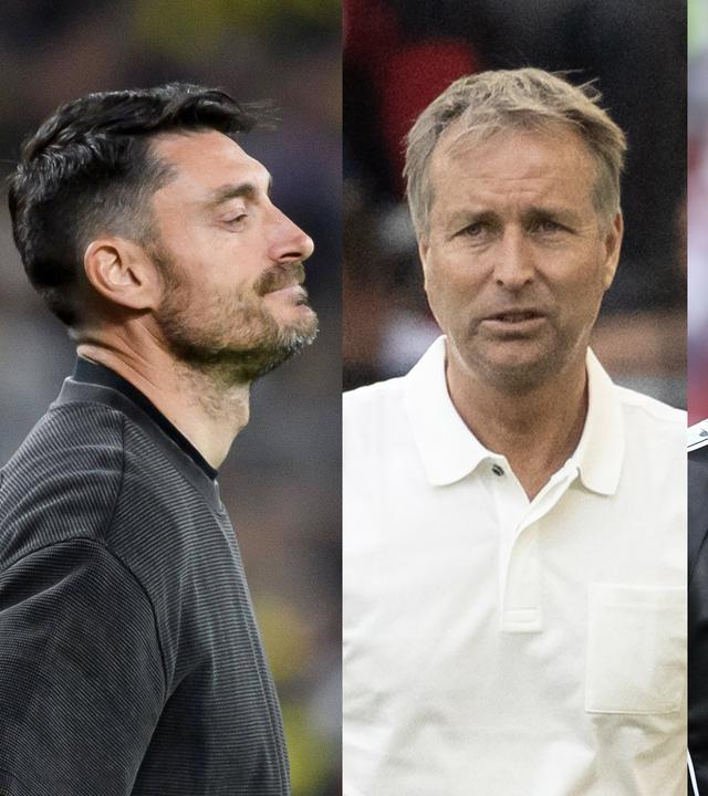 Bildkomposition: Bundesliga Trainer, Riera, Hjulmand, Polanski, Hecking