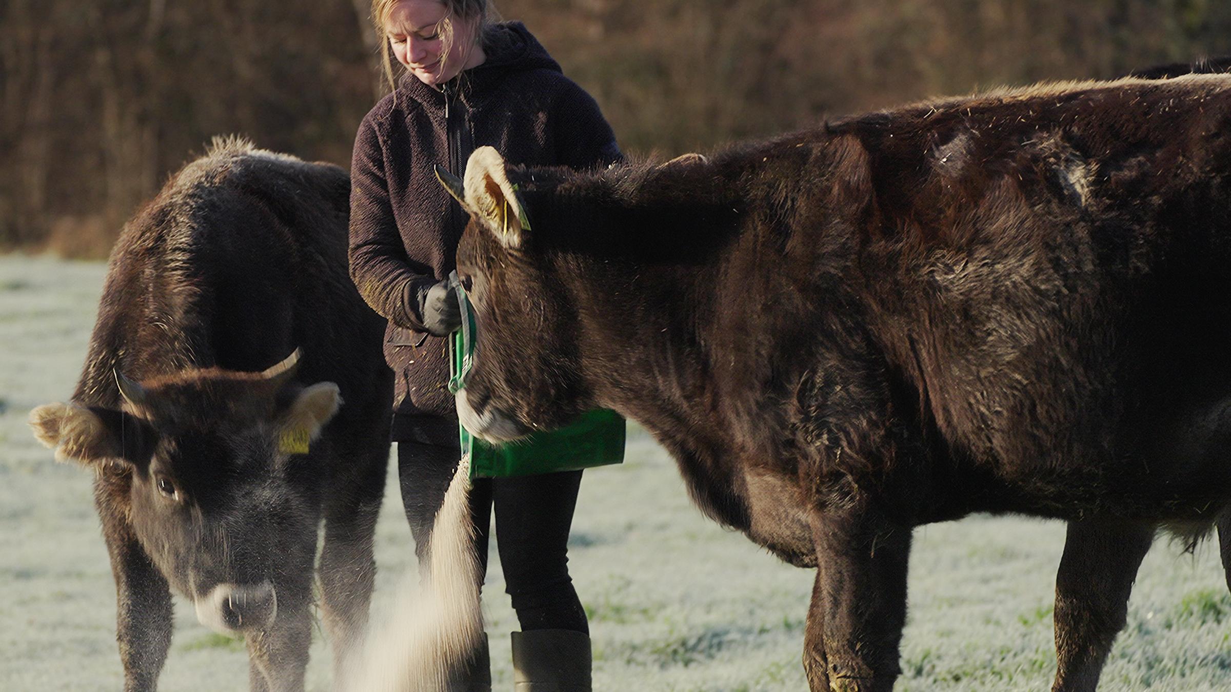 Biobäuerin Sophia aus dem Hunsrück