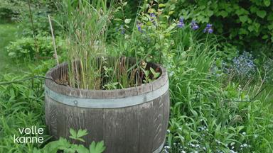 Biodiversität – was lebt in unseren Böden?