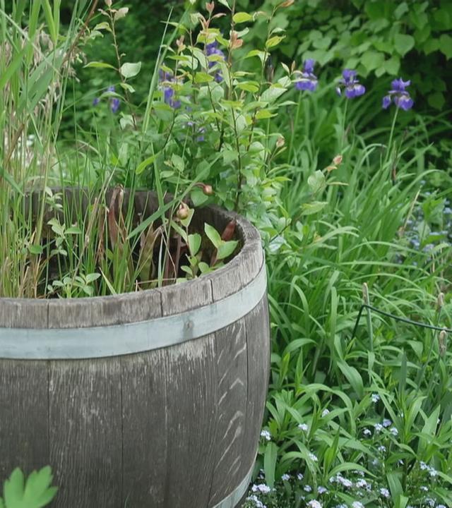 Biodiversität – was lebt in unseren Böden?