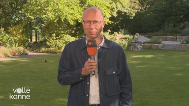 ZDF-Redakteur Mark Hugo im Interview zu Biodiversität bei Volle Kanne.