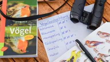 Auf einem Tisch liegen verschiedene Gegenstände, die man zum Vögel beobachten und Zählen benötigt. Darunter ein Fernglas, zwei Bücher zum Identifizieren der Vogelart und Zettel und Stift.