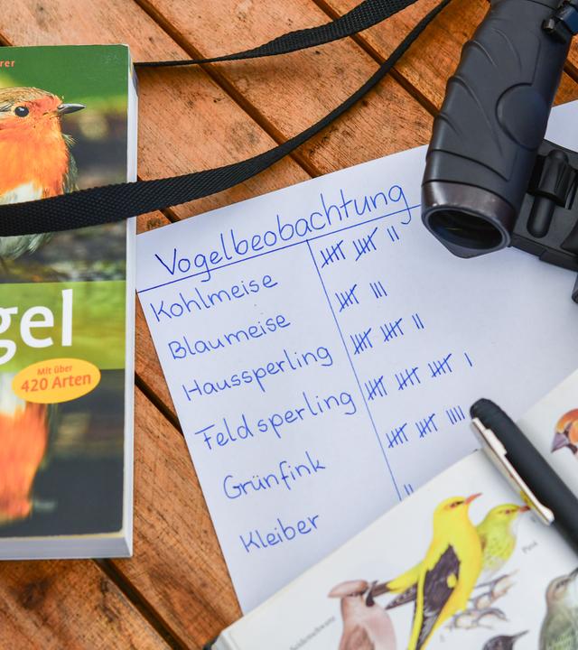 Auf einem Tisch liegen verschiedene Gegenstände, die man zum Vögel beobachten und Zählen benötigt. Darunter ein Fernglas, zwei Bücher zum Identifizieren der Vogelart und Zettel und Stift.