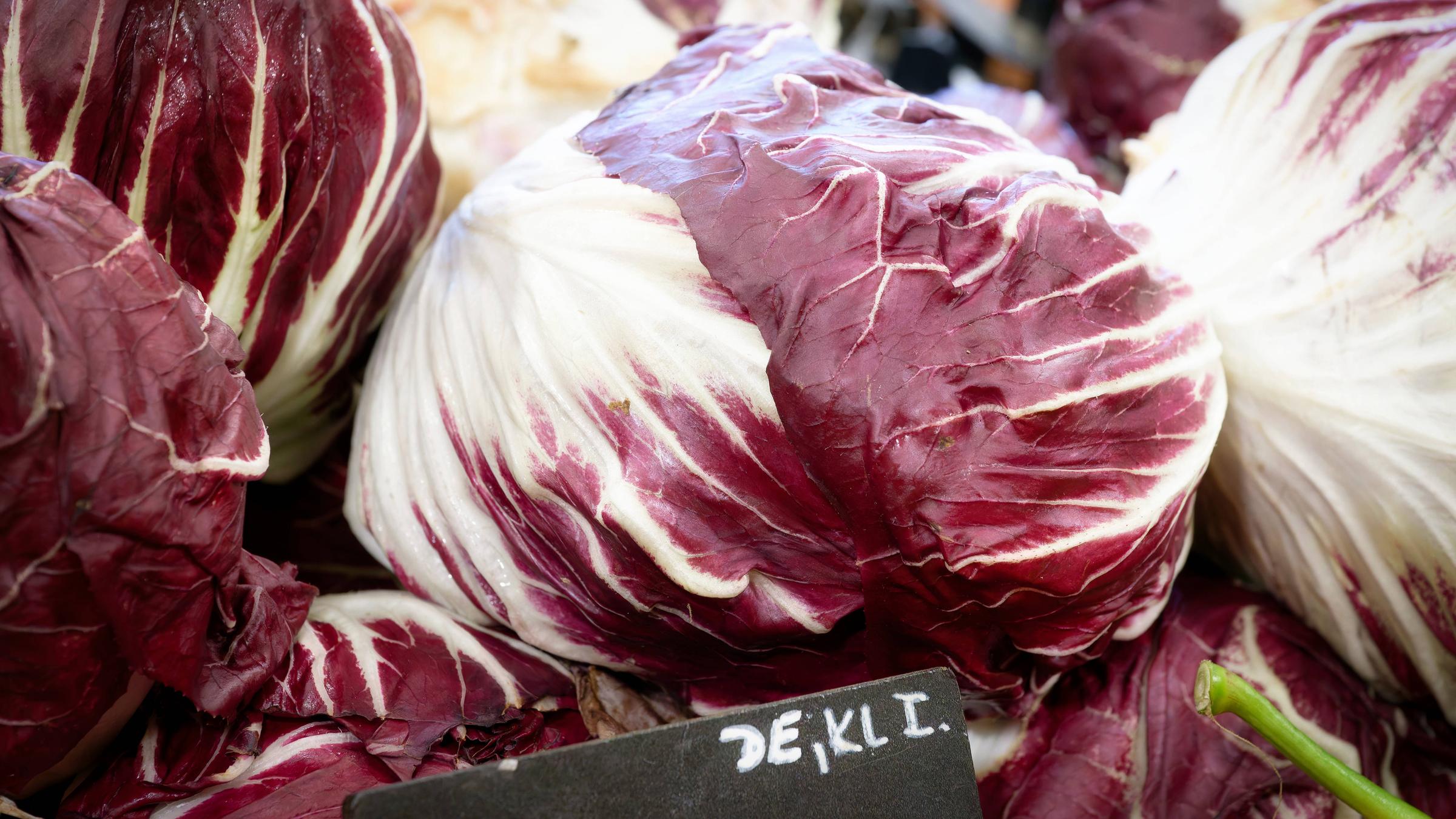 Nahaufnahme frischer, bunter Radicchio-Köpfe