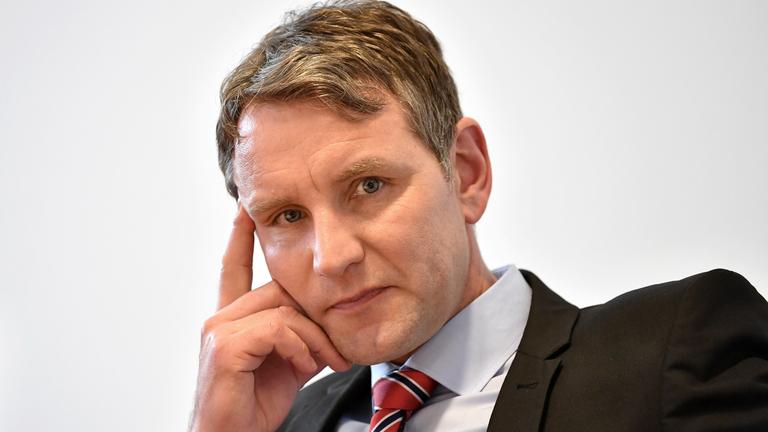 Björn Höcke, AfD