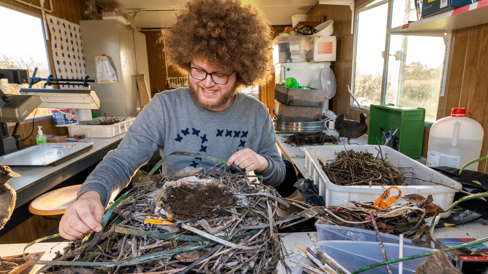 Auke-Florian Hiemstra untersucht Vogelnester von Blässhühnern.
