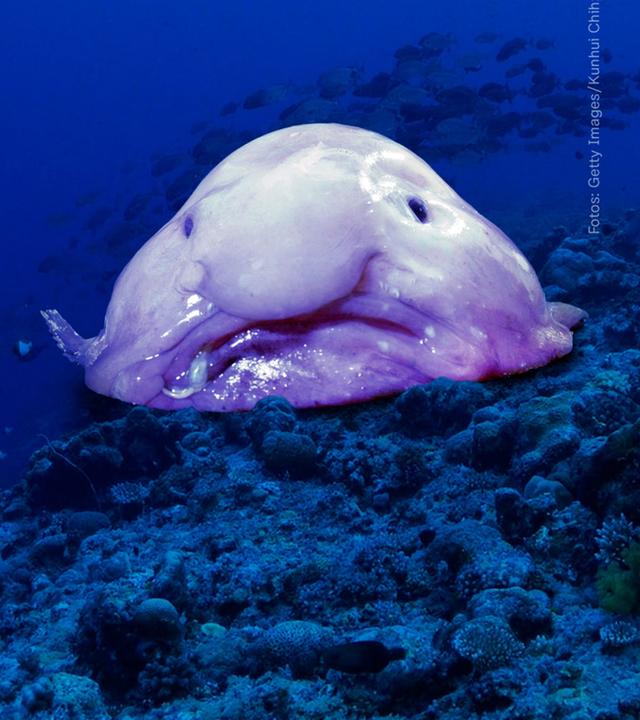 Erstes Hochsee-Abkommen