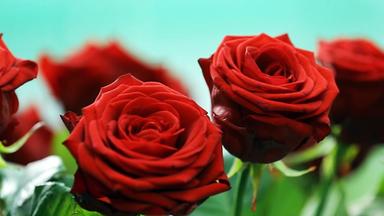 Blumen zum Muttertag