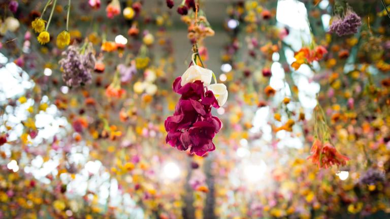 Eine Million Blumen als Installation