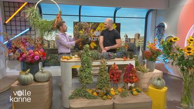 Florist Michael Frings stellt herbstliche Deko-Ideen vor; im "Volle Kanne"-Studio mit Moderator Florian Weiss.
