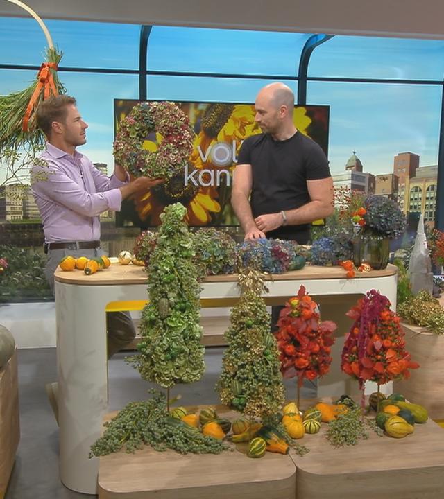 Florist Michael Frings stellt herbstliche Deko-Ideen vor; im "Volle Kanne"-Studio mit Moderator Florian Weiss.