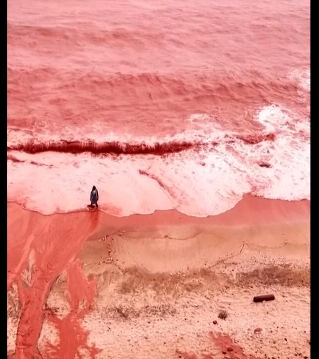 Rotes Meer auf der Halbinsel Hormus