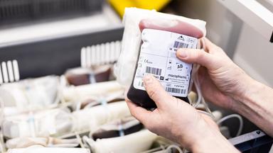 Niedersachsen, Lehrte: Ein Mitarbeiter vom DRK-Blutspendedienst (Deutsches Rotes Kreuz) hält eine Vollblut-Konserve in seinen Händen. In der Box im Hintergrund lagern weitere Konserven. 