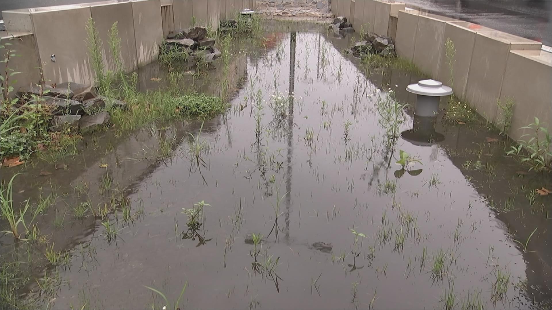 Wasser-Auffangbecken in Bochum