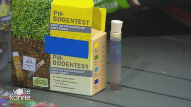 Tipps für die richtige Bodenpflege von Anja Koenzen