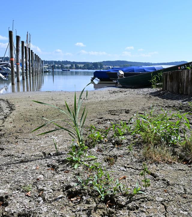 Bodensee hat Niedrigwasser