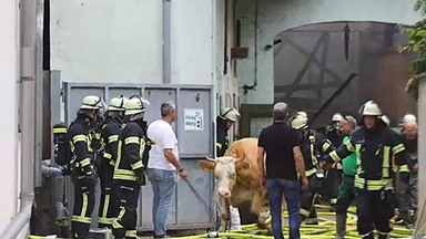 Großbrand auf landwirtschaftlichem Betrieb