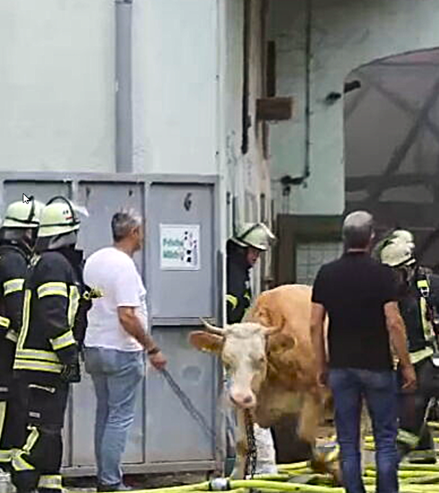 Großbrand auf landwirtschaftlichem Betrieb