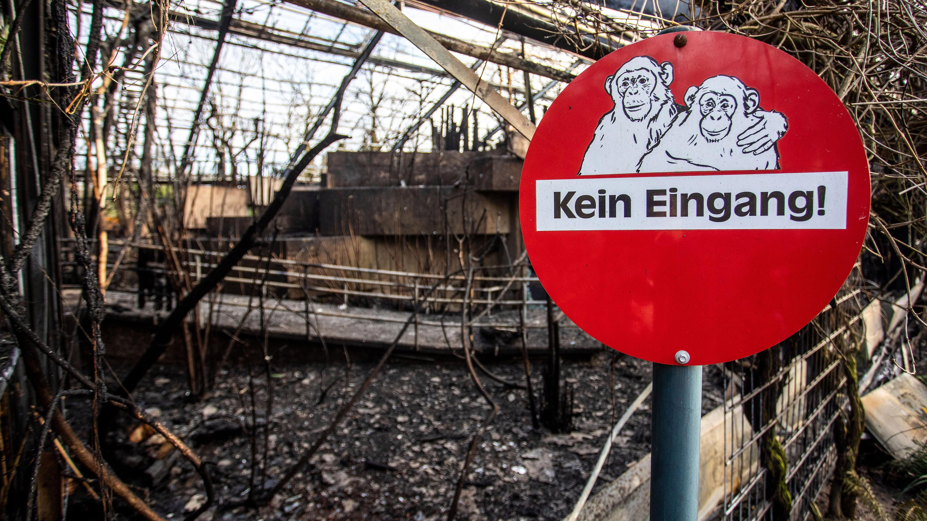 Das Affenhaus nach dem verheerenden Brand in der Silvesternacht.