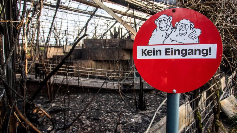 Das Affenhaus nach dem verheerenden Brand in der Silvesternacht.