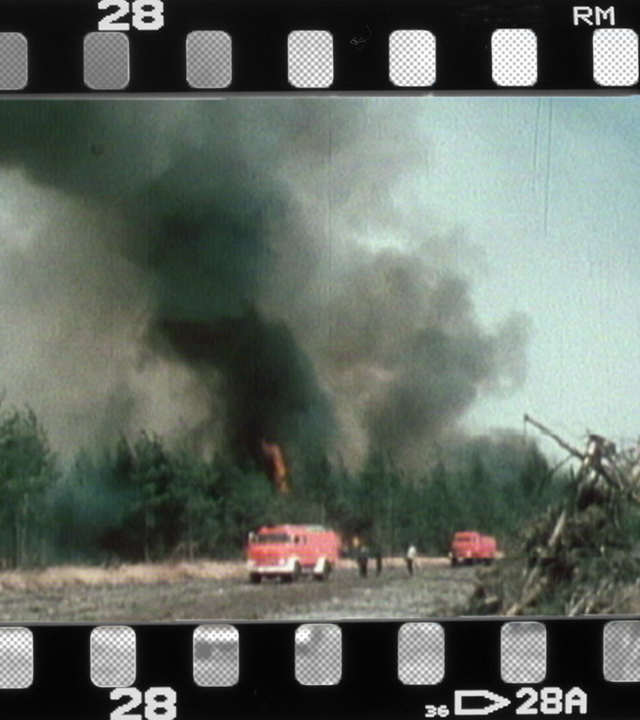 waldbrand in der lueneburger heide