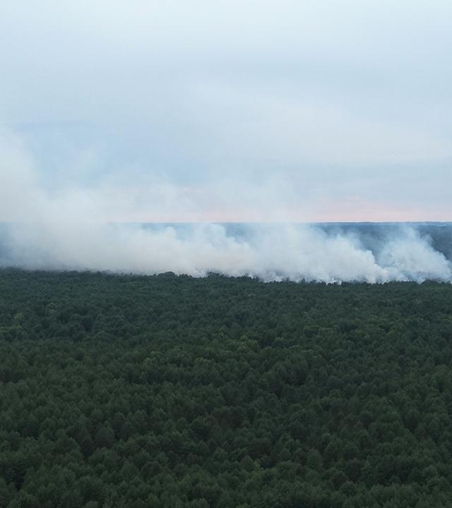 Rauch steigt bei einem Feuer im Müritz-Nationalpark auf.
