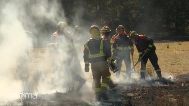 brand-spanien-feuerwehr-