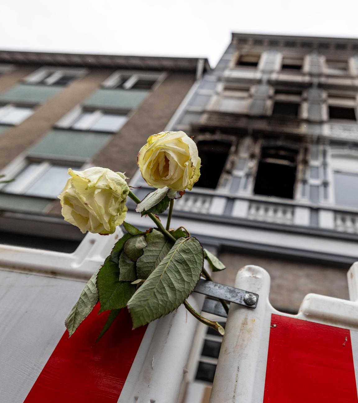 Eine weiße Rose hängt an einer Absperrbake vor dem Brandort in Solingen. Im Prozess um den Tod einer vierköpfigen Familie in Solingen geht es vor Gericht weiter um das Motiv des mutmaßlichen Täters.