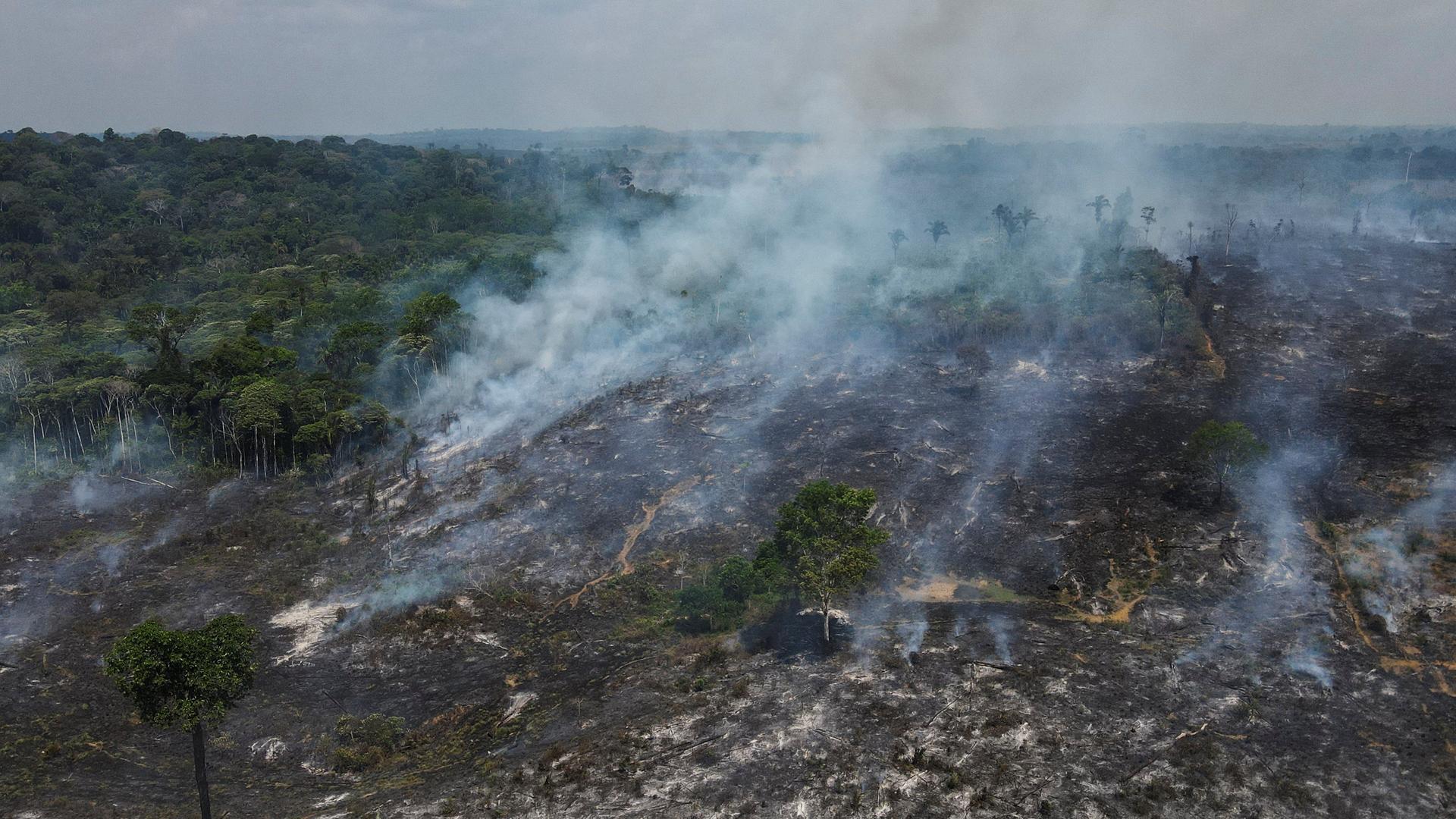 Brandrodung im Amazonas.