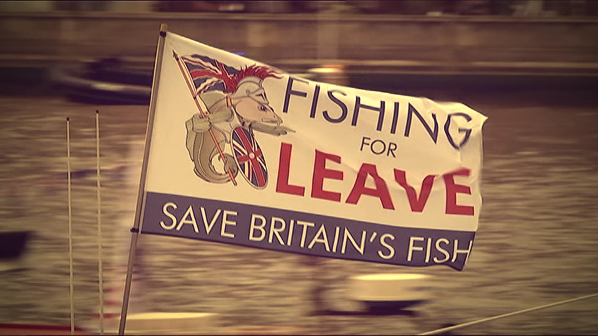 Flagge mit Aufschrift: "Save Britains Fish"