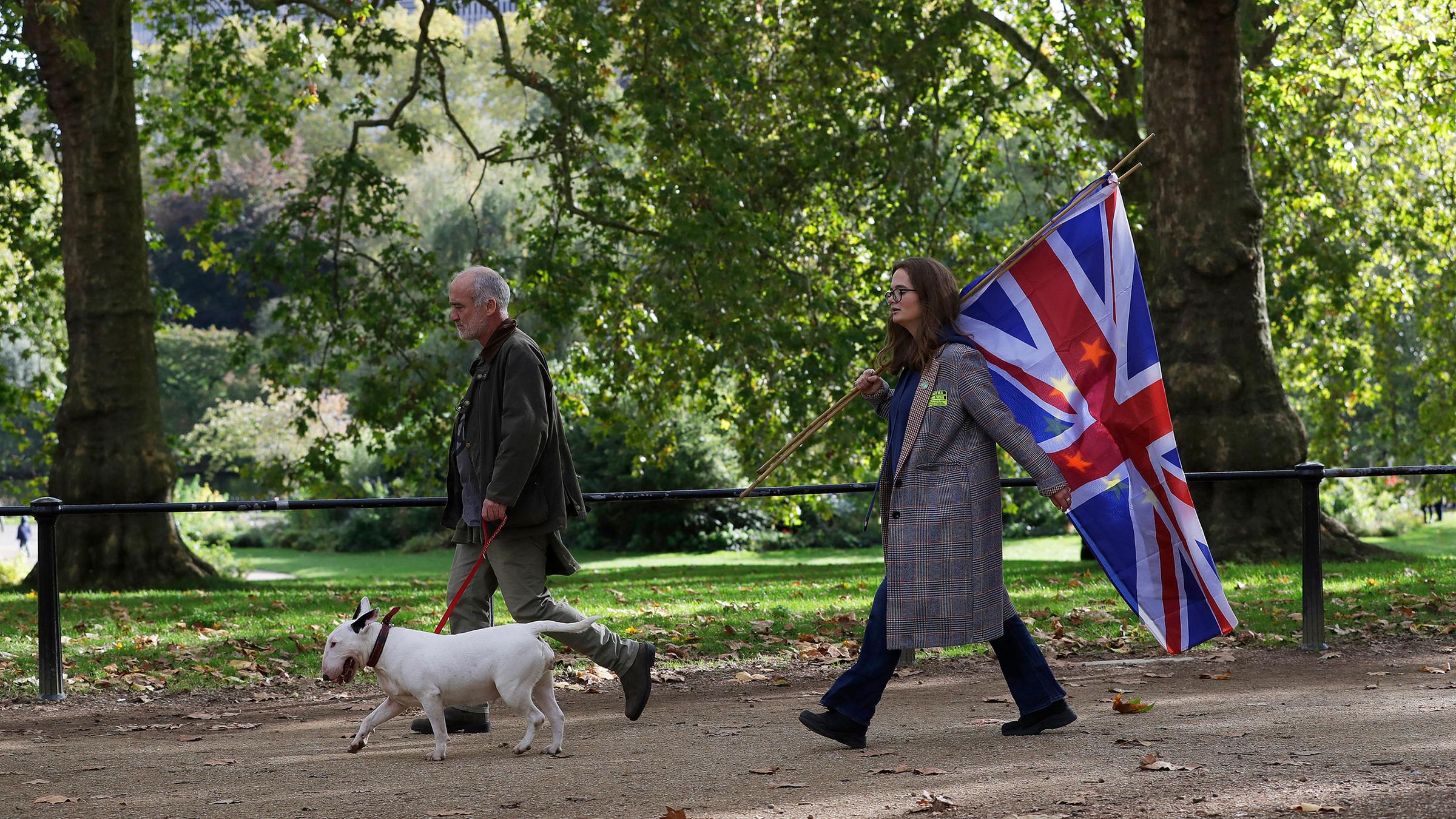 Brexit Gegnerin mit einer Kombi-Flagge der EU und Großbritanien.