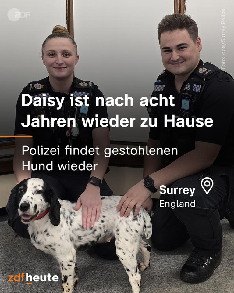 Daisy ist nach acht Jahren wieder zu Hause: Polizei findet gestohlenen Hund wieder