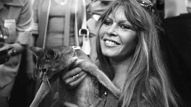 Brigitte Bardot, Archivbild