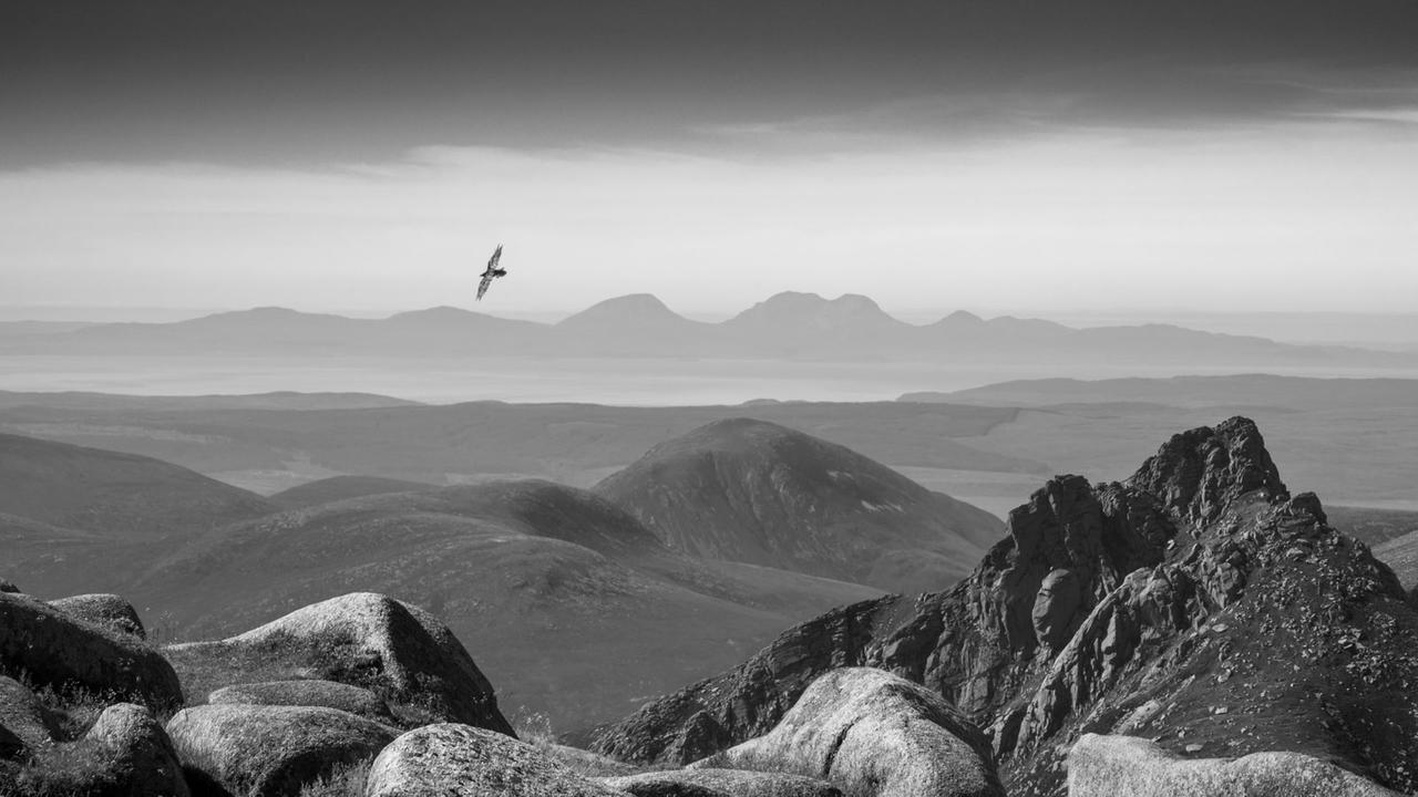 Fotograf Robin Dodd: „Wir saßen einige Zeit da und beobachteten diese Vögel, die ebenso anmutig wie jeder andere Raubvogel über Isle of Arran gleiteten.“