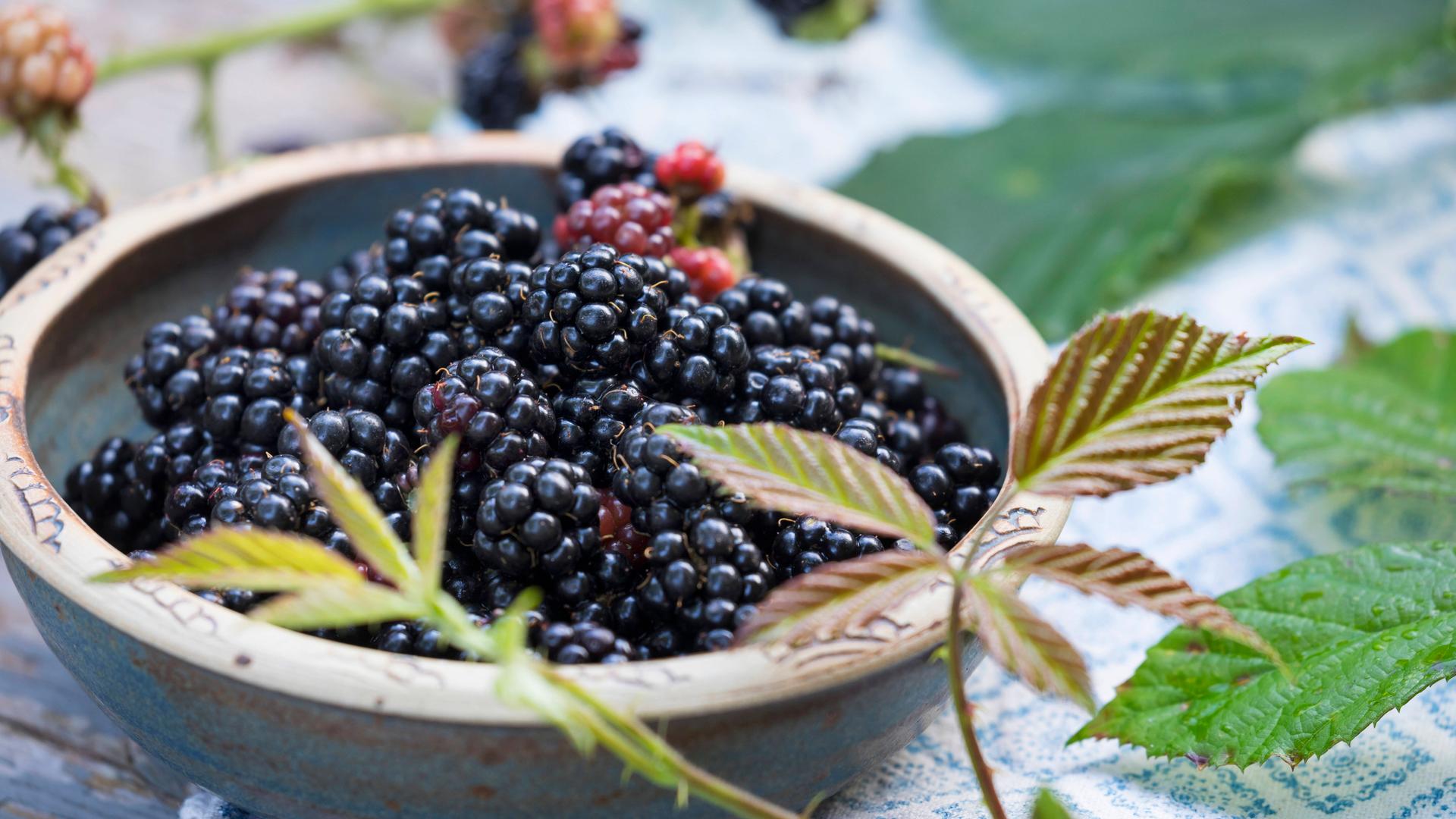 Schale mit Brombeeren