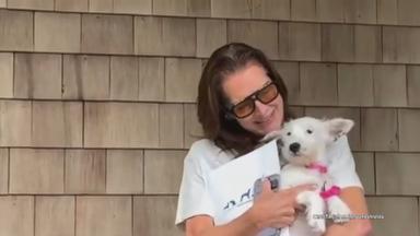 Brooke Shields kuschelt mit neuem Hund "Shippy"