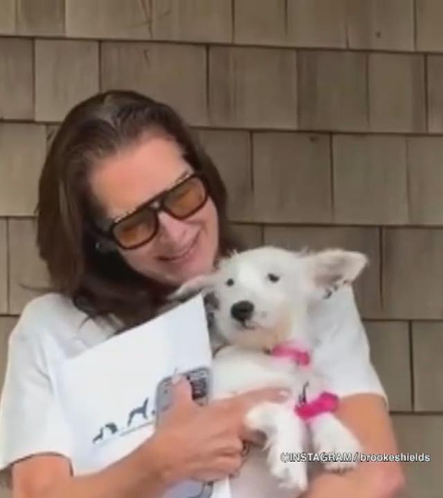 Brooke Shields kuschelt mit neuem Hund "Shippy"