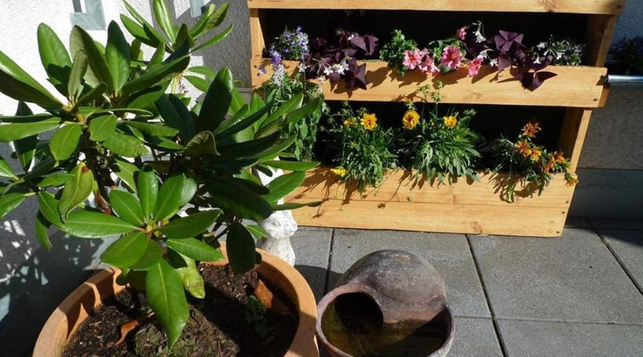 Blumenkübel und-kasten auf Balkon