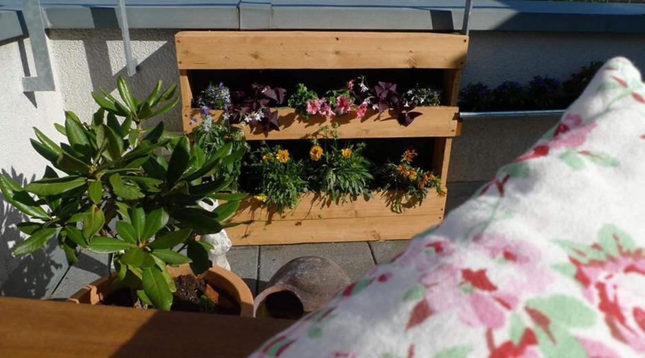 Blumenkasten auf Balkon