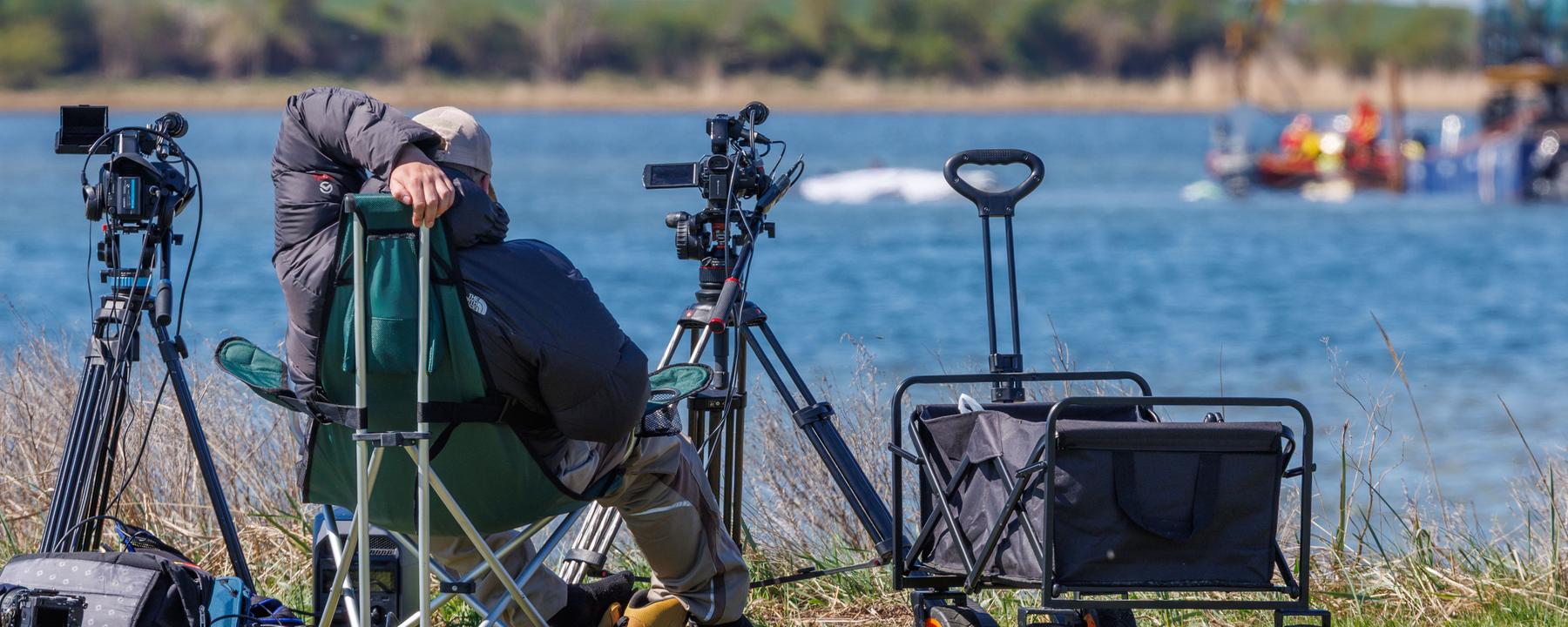 Medienvertreter beobachten die Arbeiten der Helfer direkt am festliegenden Buckelwal vor der Insel Poel.