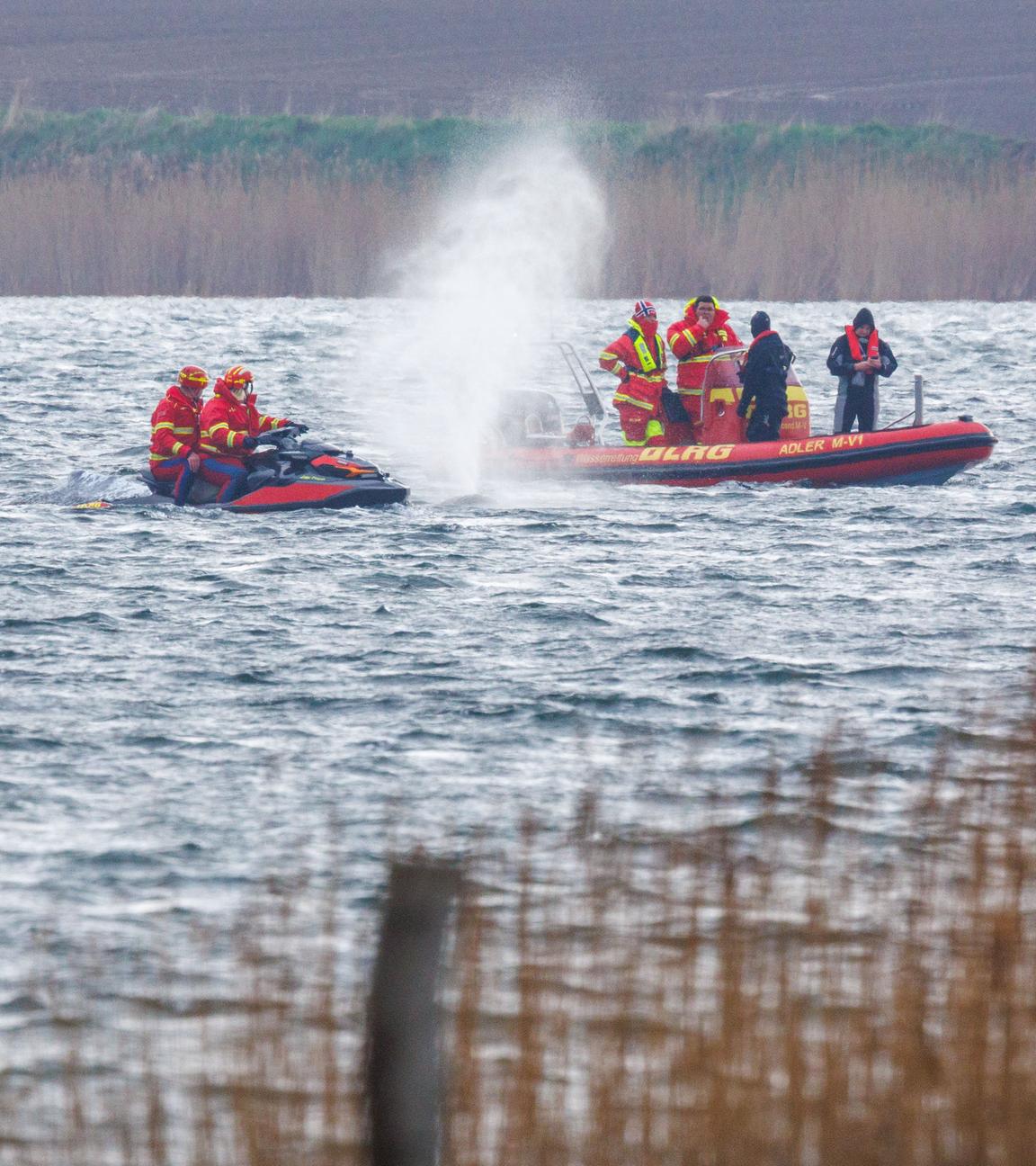 Rettungskräfte mit Westen auf Schlauchbooten neben dem Wal im Meer. Im Vordergrund ist unscharf Schilf am Ufer zu sehen.