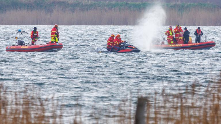 Rettungskräfte mit Westen auf Schlauchbooten neben dem Wal im Meer. Im Vordergrund ist unscharf Schilf am Ufer zu sehen.
