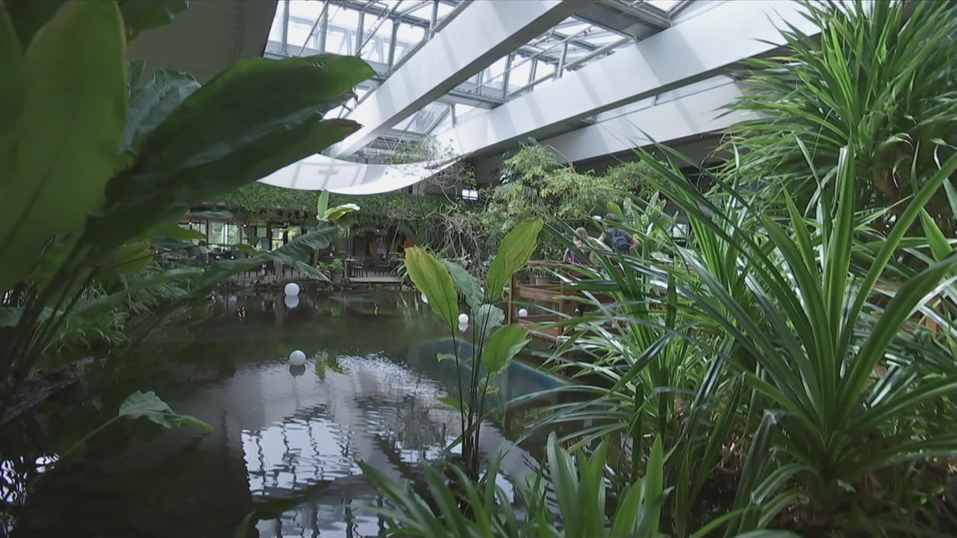 Biosphäre Potsdam