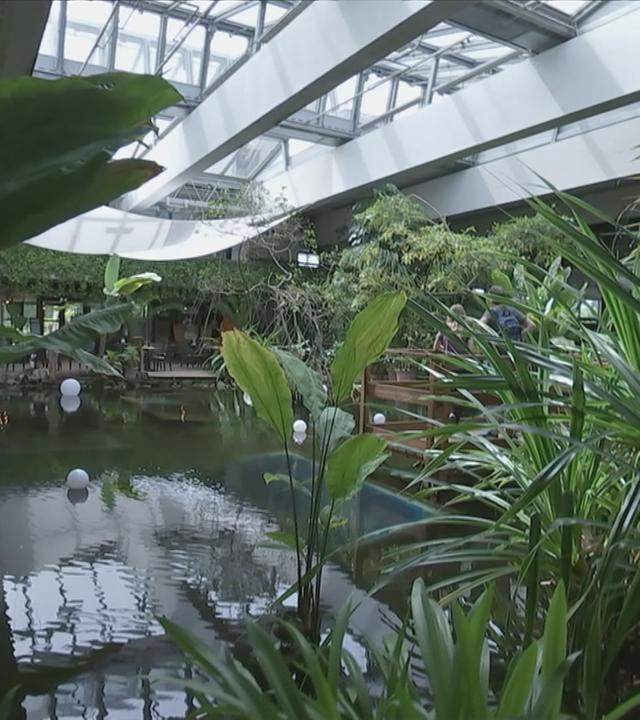 Biosphäre Potsdam