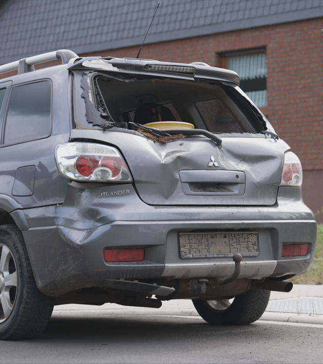 Bulle nach Angriff auf Auto von Jäger erlegt