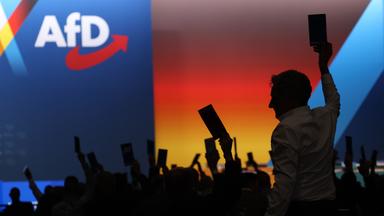 Bundesparteitag der AfD in Erfurt